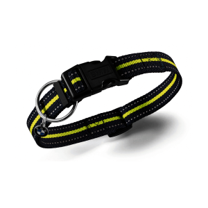 Active kutyanyakörv